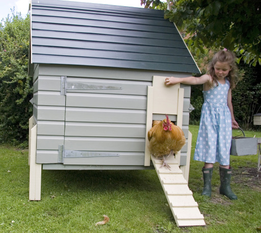 Hen House