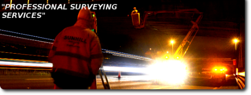 Professional Surveying Services