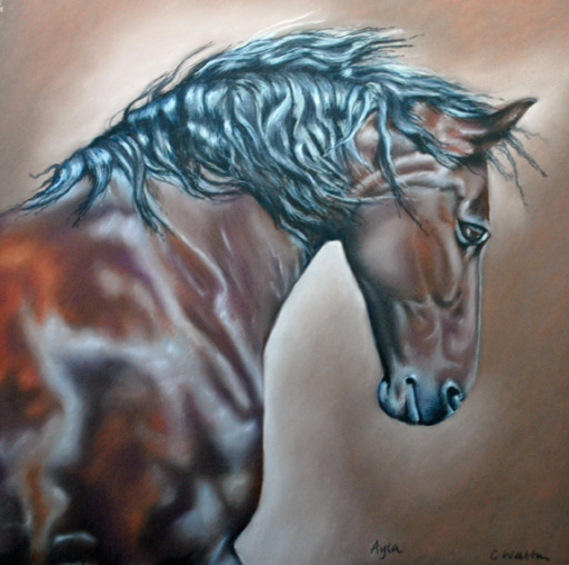 Horse Portraits