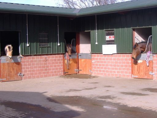 MURRAY HOUSE LIVERY YARD,stables