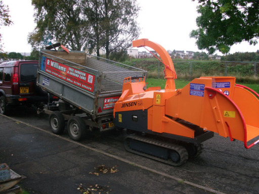 Tree Surgeon