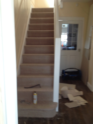 CARPETS