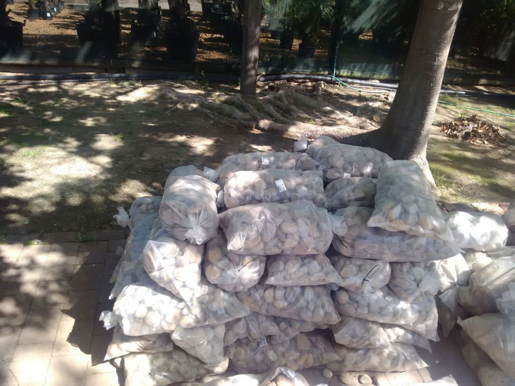 Cape River Stone Porter St, Cape Town, Western Cape, 7530