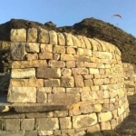 AXIS WALLING & LANDSCAPING LTD