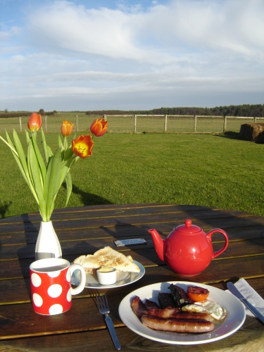 black pudding breakfast at broom house farm coffee shop and play area