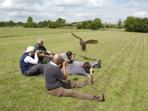 Birds of Prey day with LINE+LIGHT Photography Courses