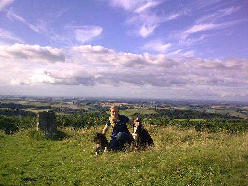 Dog walking Dartmoor