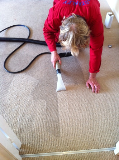 Stanley Steamer tel - 01823 323 333