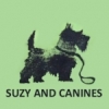 Suzy And Canines (Winsford Dog School)