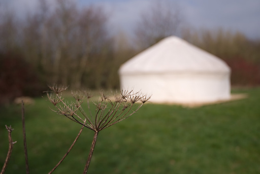 Yurt Holidays at Yalding Gardens, Kent