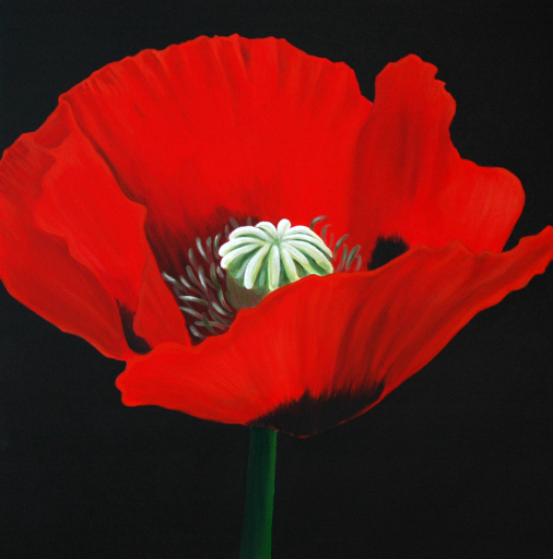 'Poppy' original acrylic painting on canvas by Judith Grassi