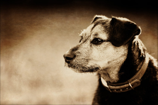 image0