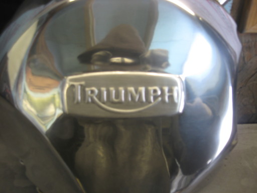 Triumph casing with satene finish logo