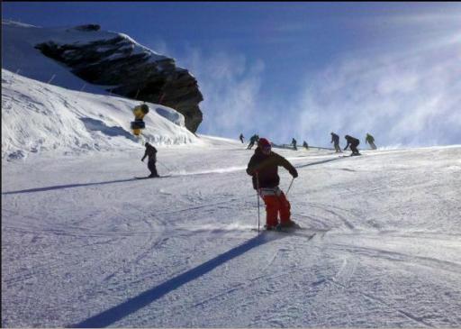 Professional Skiing