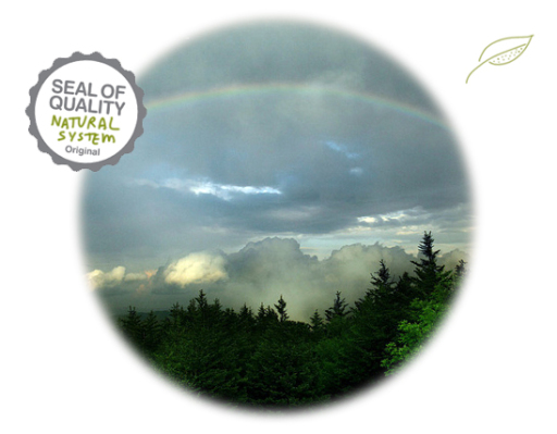 Both in spirit and technology, Schrijver System damp treatment is inspired by nature.