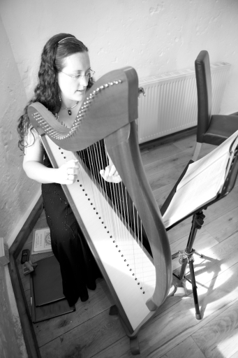 Harpist playing at a wedding in Priston Mill, Bath