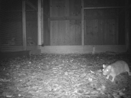 Stealth camera observations of problem areas.
