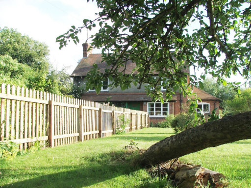 Cooks Green Holiday Cottage accommodation from a falling apple tree in the garden.