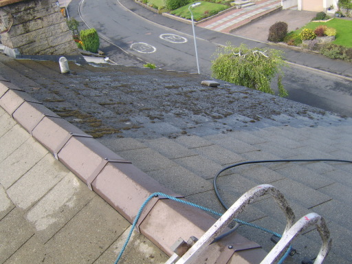 Roof Cleaning