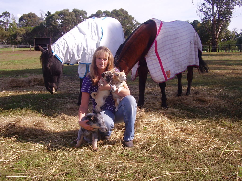 Melbourne Pet Ambulance Devon Meadows, 3977