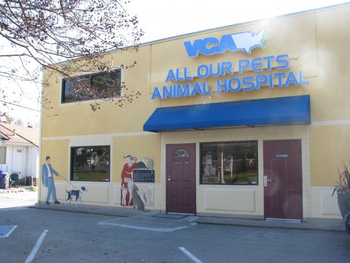 VCA All Our Pets Animal Hospital