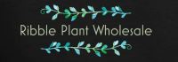 Ribble Plant Wholesale