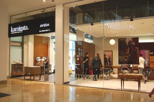 Kamigata Aveda Salon and Spa