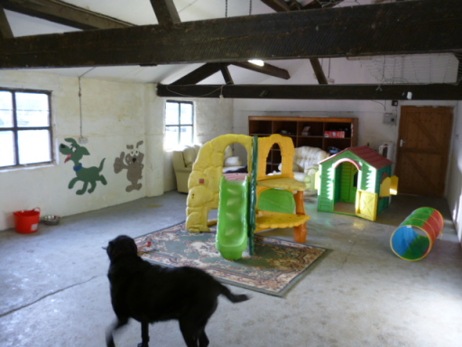 Dog nursery area