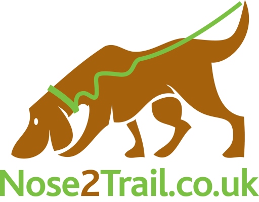 Dog Day Care Creche &amp; Dog Walking