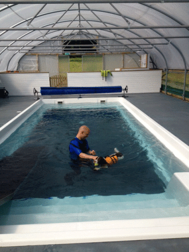 The Retreat, Canine Hydrotherapy - Hydrotherapy for your dog in Okehampton, Devon