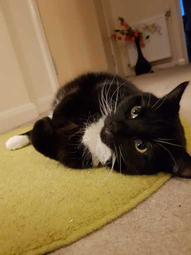 Charlie