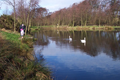 part of the large lake
