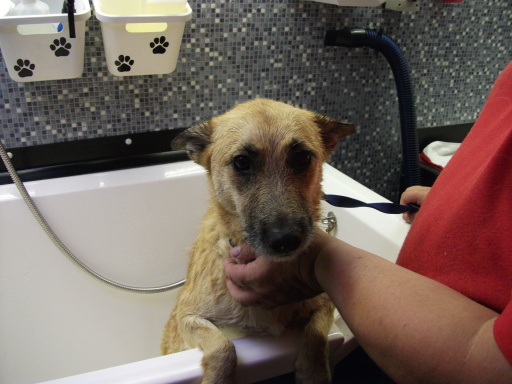I LOVE MY BATH