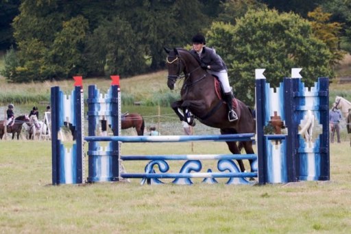 Horse Breaking, Training, Schooling and Exercising Service Devon