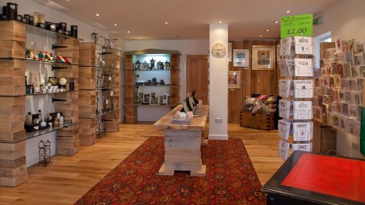 The Curiosity Gallery
