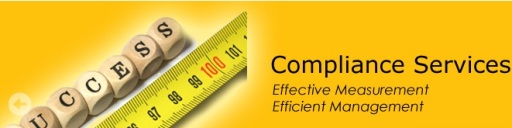 IT information security consulting services