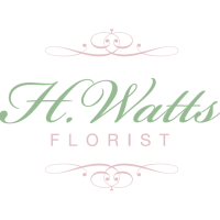 H Watts Florist