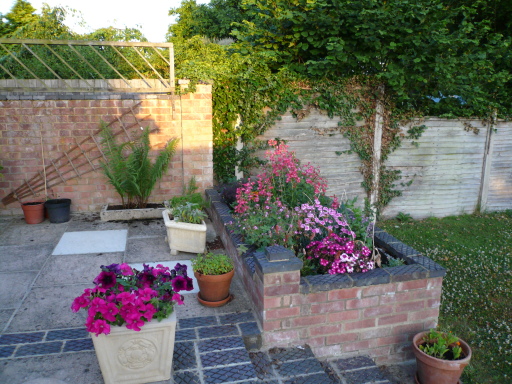 Planting scheme &amp; Patio