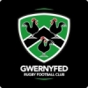 Gwernyfed Rugby Football Club