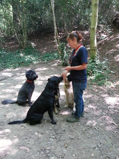 Dionne Worth and dogs, training in St Leonards-on-Sea