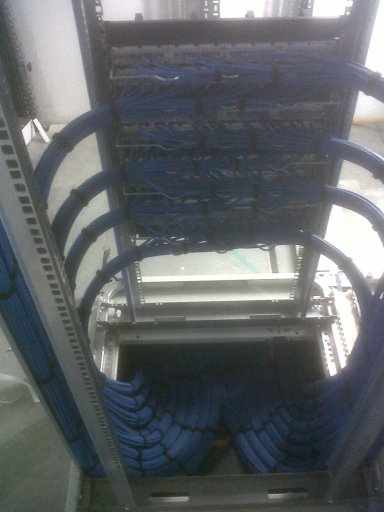 Cat 6 structured cabling