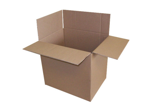 Standard Case