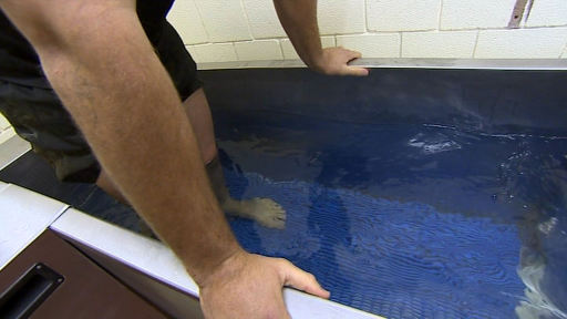 Ruan Pienaar using our ice bath products