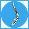 Bournemouth Chiropractic