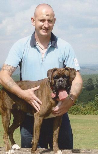 Alpha Dog Daycare home page
