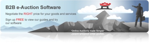 B2B e-Auction Software
