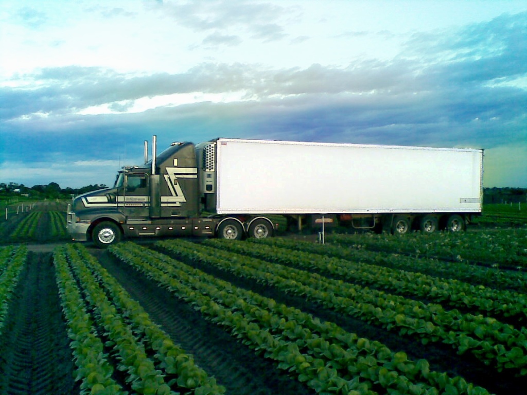 Cubtrans Express Refrigerated Transport 373 Willowbank Road, Albury, 2640