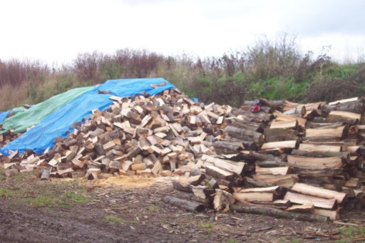stockpile of seasoned hardwood logs .
