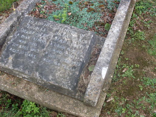 Headstone Cleaning Company needed