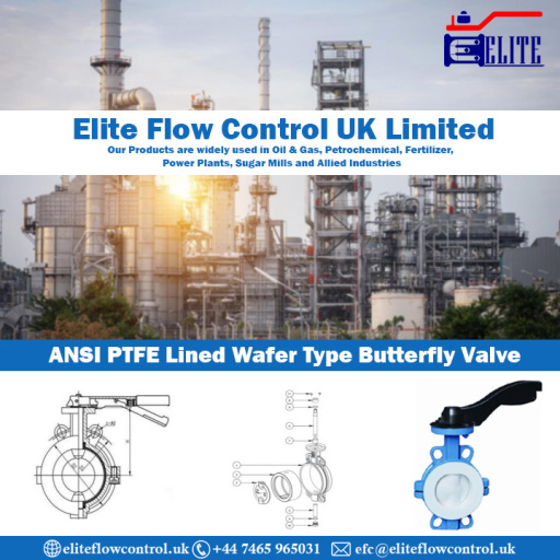 ANSI PTFE Lined Wafer Type Butterfly Valve